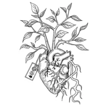 coeur